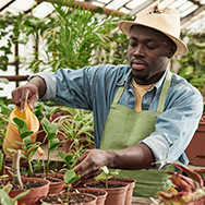 GARDENING