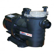 POOL PUMPS AND FILTERS