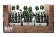 SUCCULANT CACTUS ARTIFICIAL PLANT 7.5X7.5X11CM
