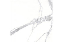 TILE FLOOR HARDBODY TTA101SEA TAJ MAHAL SHINY 800X800 2.56M2