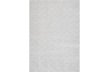 RUG  ALLOY  18AL162355001H  WAVES LIGHT    160X230