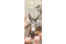 DECOUPAGE DOOR DONKEY AMONG PROTEAS