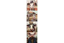 DECOUPAGE FUNKY FARM FRIENDS 4PP 4XBLOCKS