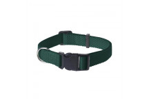 ADJUSTABLE GREEN COLLAR WITH LEASH