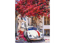 PAINT BY NUMBERS  BS36527  TOWN IN SWITZERLAND