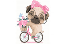 PAINT  BY NUMBERS  KBS7120 SCHOOLBOY BEAR