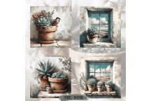 DECOUPAGE WINDOWS AND SUCCULENTS 4PP 4XBLOCKS