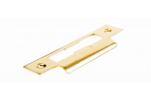 JAGUAR NICKEL PLATED STRIKER PLATE