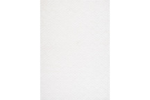 RUG  ALLOY  18AL162355001W  WAVES    CREAM 160X230