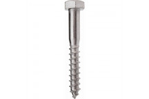 WALL PLUG COACH SCREW 10X60MM 40PIECE