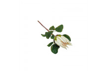 WHITE CLOSED PROTEA ARTIFICIAL FLOWER 68.5X18X20CM