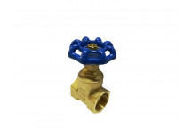 GATE VALVE ECONO BRASS 20MM