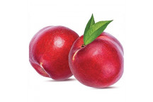 PLANT FRUIT PEACH ASSORTED10L