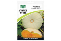 STARKE AYRES PUMPKIN FLAT WHITE BOER 100G