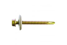 SAFETP SELF DRILL ROOF SCREW 12X20MM 50PER PACK
