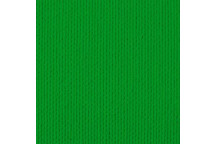 WILD PARROT ACRYLIC CRAFT PAINT 50ML