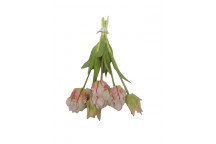 PINK PHALAENOPSIS ARTIFICIAL FLOWER IN WHITE POT