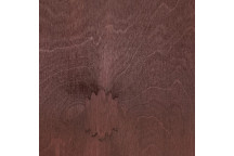 WONDASEAL WILD CHERRY WATERBASED QUICK DRY WOOD STAIN 475ML