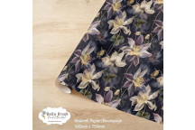 WRAPPING PAPER STORMY PETAL GARDEN 500X750MM