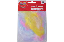 CRAFT PASTEL FEATHER 20PIECE