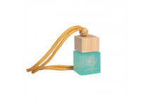 ANKE FICO MINI WOODEN CAR DIFFUSER 10ML