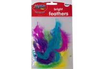 CRAFT BRIGHT FEATHER 20PIECE