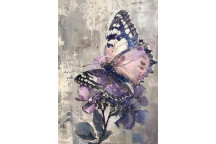 SUNLIGHT DREAM DECOUPAGE A3