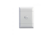 NEU WHITE LIGHT SWITCH 1L/2W 50X100