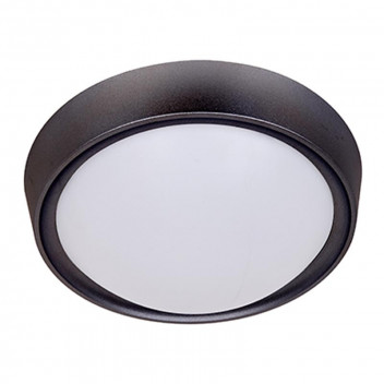 RADIANT BLACK POLYCARBONATE CEILING LIGHT 270MM 240V
