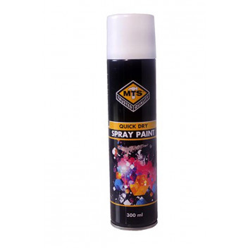 PAINT SPRAY MTS1840 APPLIANCE WHITE 300ML MTS
