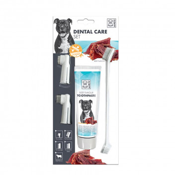 DENTAL CARE BEEF PET TOOTHPASTE KIT