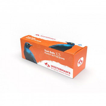 PEANUT SUET BALLS BIRD FOOD 3X125G