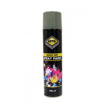 PAINT SPRAY MTS1893 SILVER GREY 300ML MTS