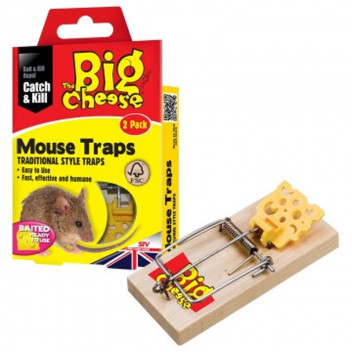 TOPLINE BIATED MOUSE TRAP BIG CHEESE.