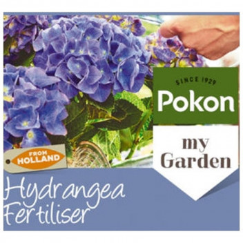 PLANT SHRUB HYDRANGEA ASSORTED 15CM