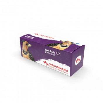 BERRY SUET BALLS BIRD FOOD 3X125G