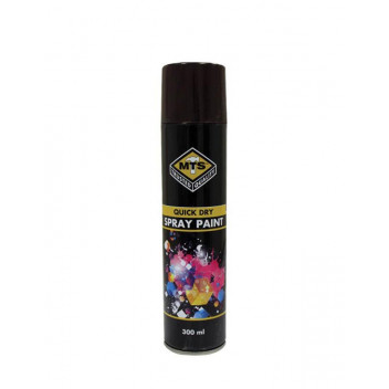 PAINT SPRAY MTS1842 MATT BLACK 300ML MTS