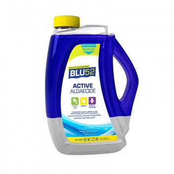 BLU52 ACTIVE ALGAECIDE 2L