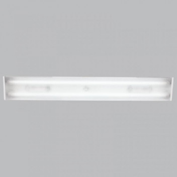 BRIGHT STAR WHITE SLIM METAL AND PLASTIC FLUSH CEILING LINEAR LIGHT
