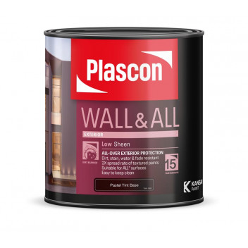 BASEPAINT ACRYLIC TRANSPARENT WALL AND ALL 1L PLASCON