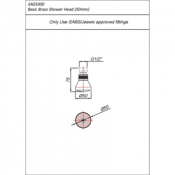 BluTide Basic Brass Shower Head 50MM