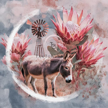 DECOUPAGE KAROO DONKEY DREAMS A3