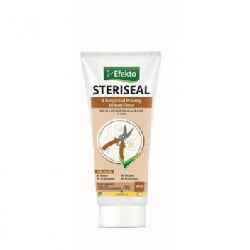 STERISEAL 100ML