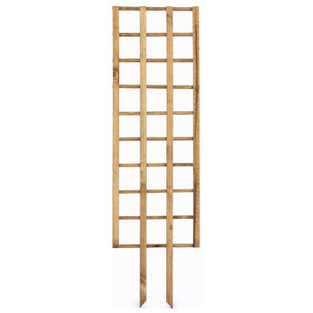 WILD WAYS SELF STAKING TRELLIS 43X1500MM