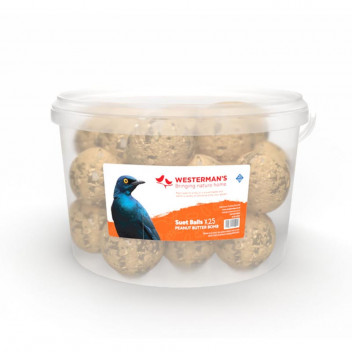 PEANUT SUET BALLS BIRD FOOD 25X125G