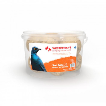 PEANUT SUET BALLS BIRD FOOD 10X125G