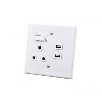 ELECTRICMATE SINGLE LEVER STEEL SWITCH AND SOCKET 16 AMP + 2.4 AMP USB 100X100MM