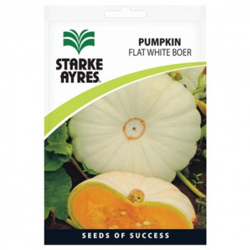 STARKE AYRES PUMPKIN FLAT WHITE BOER 100G