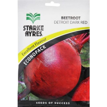 STARKE AYRES BEETROOT DETROIT DARK RED ECONOPACK