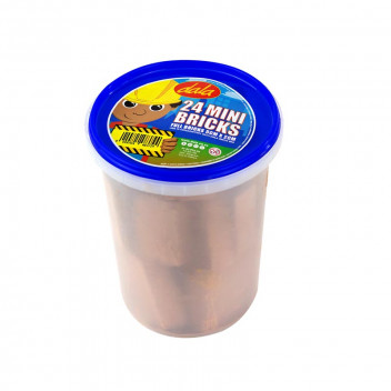 24 FULL BRICKS CRAFT BRICKS